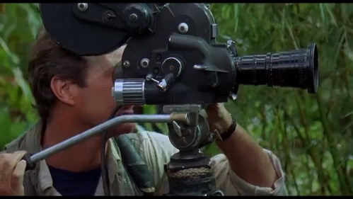 Gorillas in the Mist